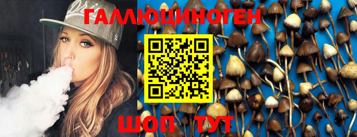 Когалым  цены   Вход с VPN  Галлюциногенные грибы Psilocybine cubensis 